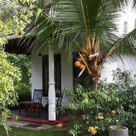 טנגלה Bay Hill Guest House מראה חיצוני תמונה