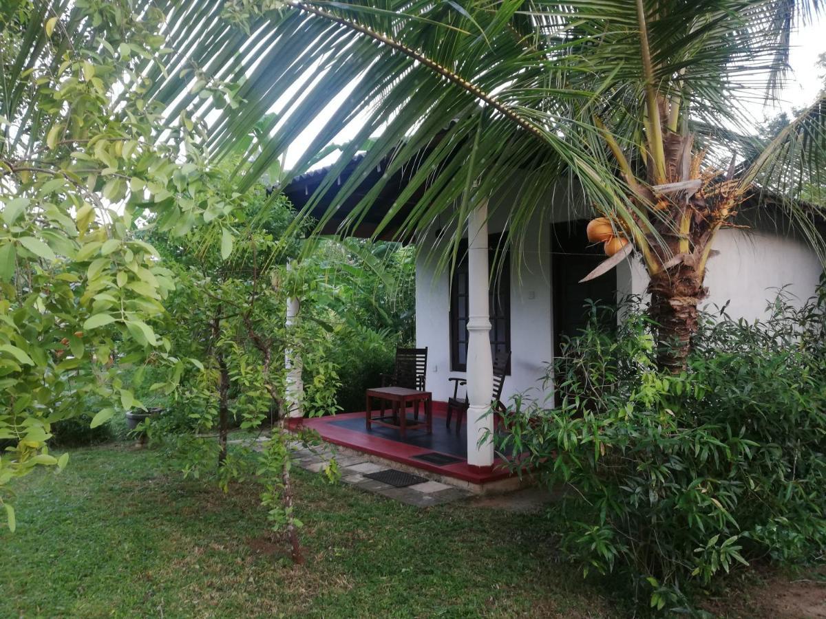 טנגלה Bay Hill Guest House מראה חיצוני תמונה