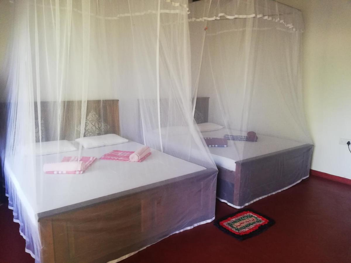 טנגלה Bay Hill Guest House מראה חיצוני תמונה