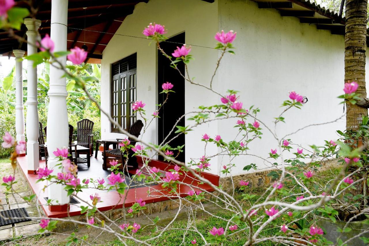 טנגלה Bay Hill Guest House מראה חיצוני תמונה
