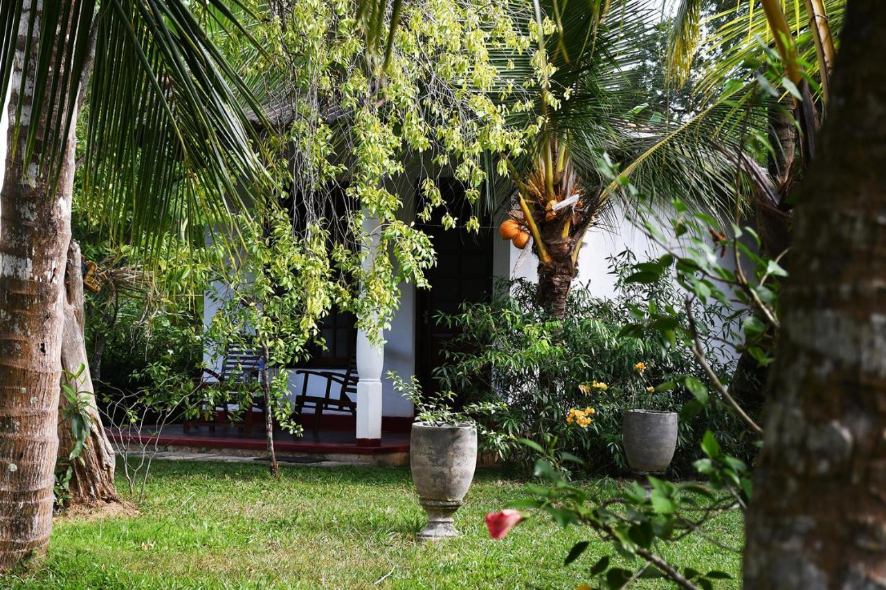 טנגלה Bay Hill Guest House מראה חיצוני תמונה