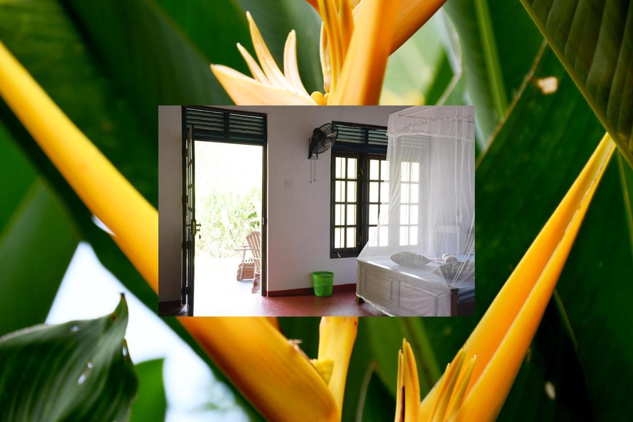 טנגלה Bay Hill Guest House מראה חיצוני תמונה