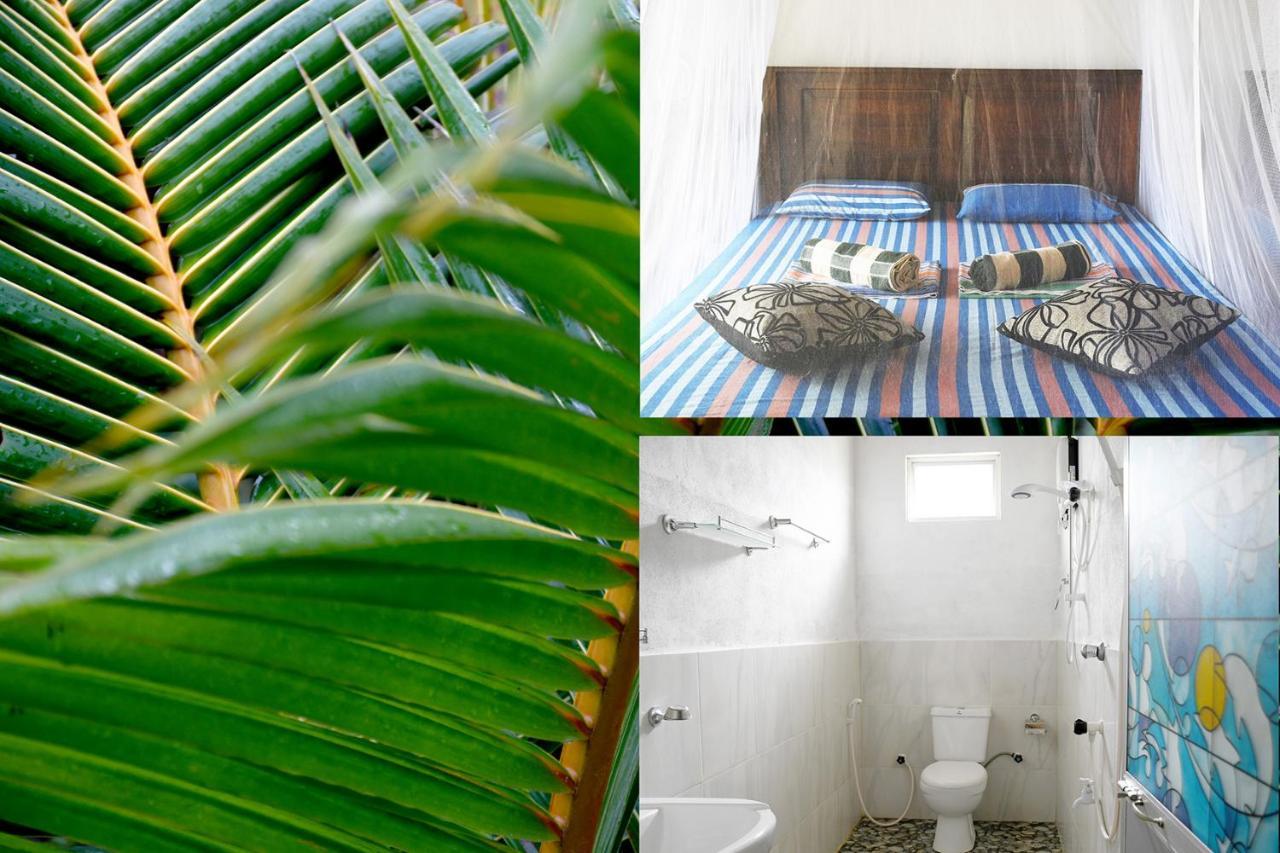 טנגלה Bay Hill Guest House מראה חיצוני תמונה