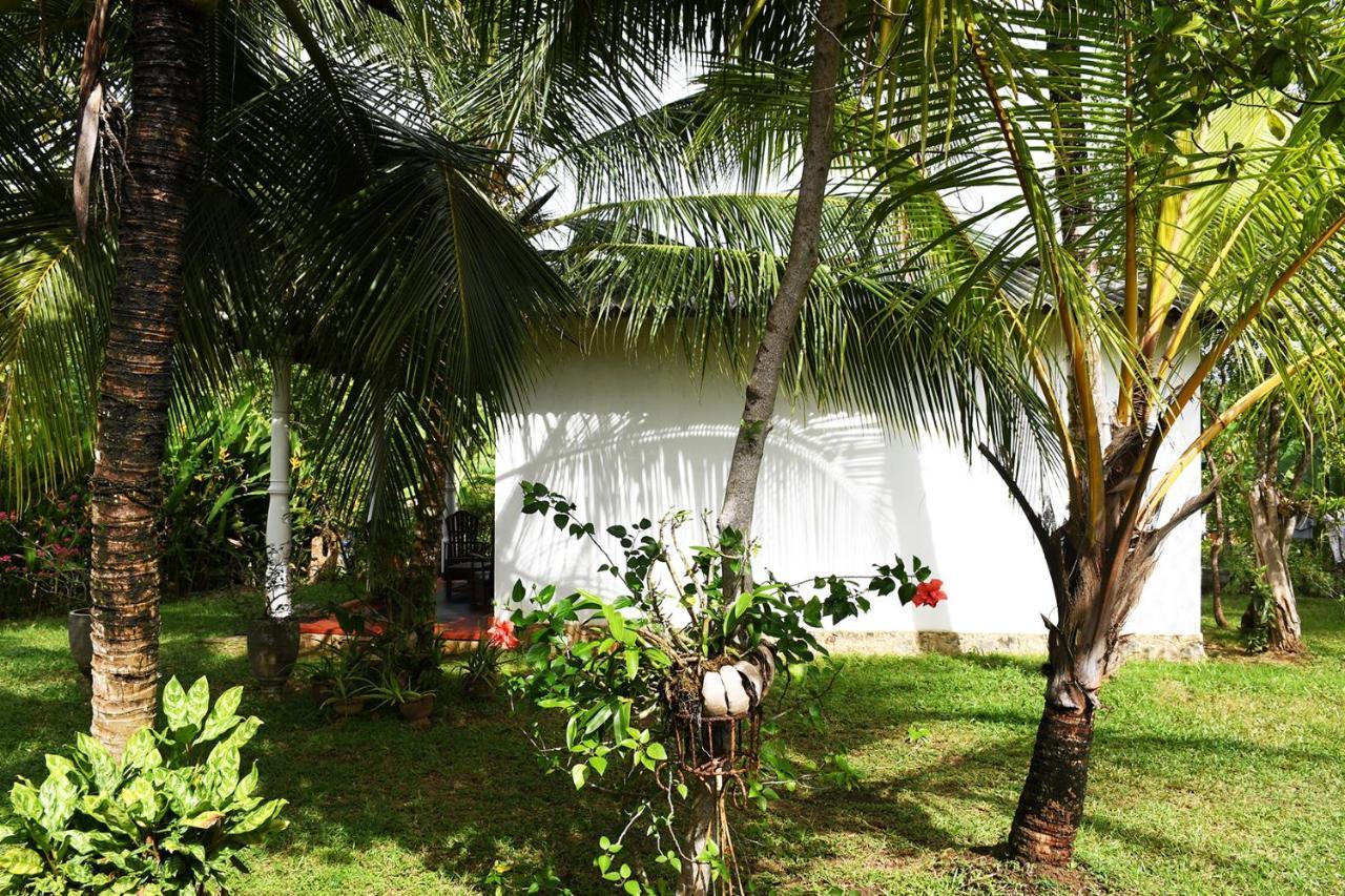 טנגלה Bay Hill Guest House מראה חיצוני תמונה