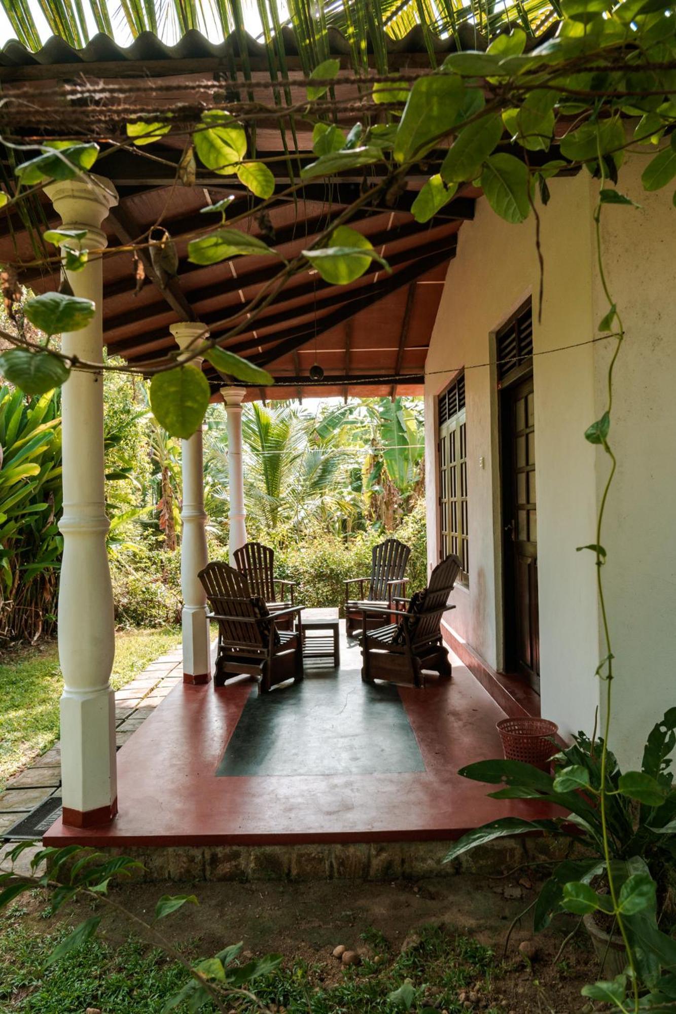 טנגלה Bay Hill Guest House מראה חיצוני תמונה