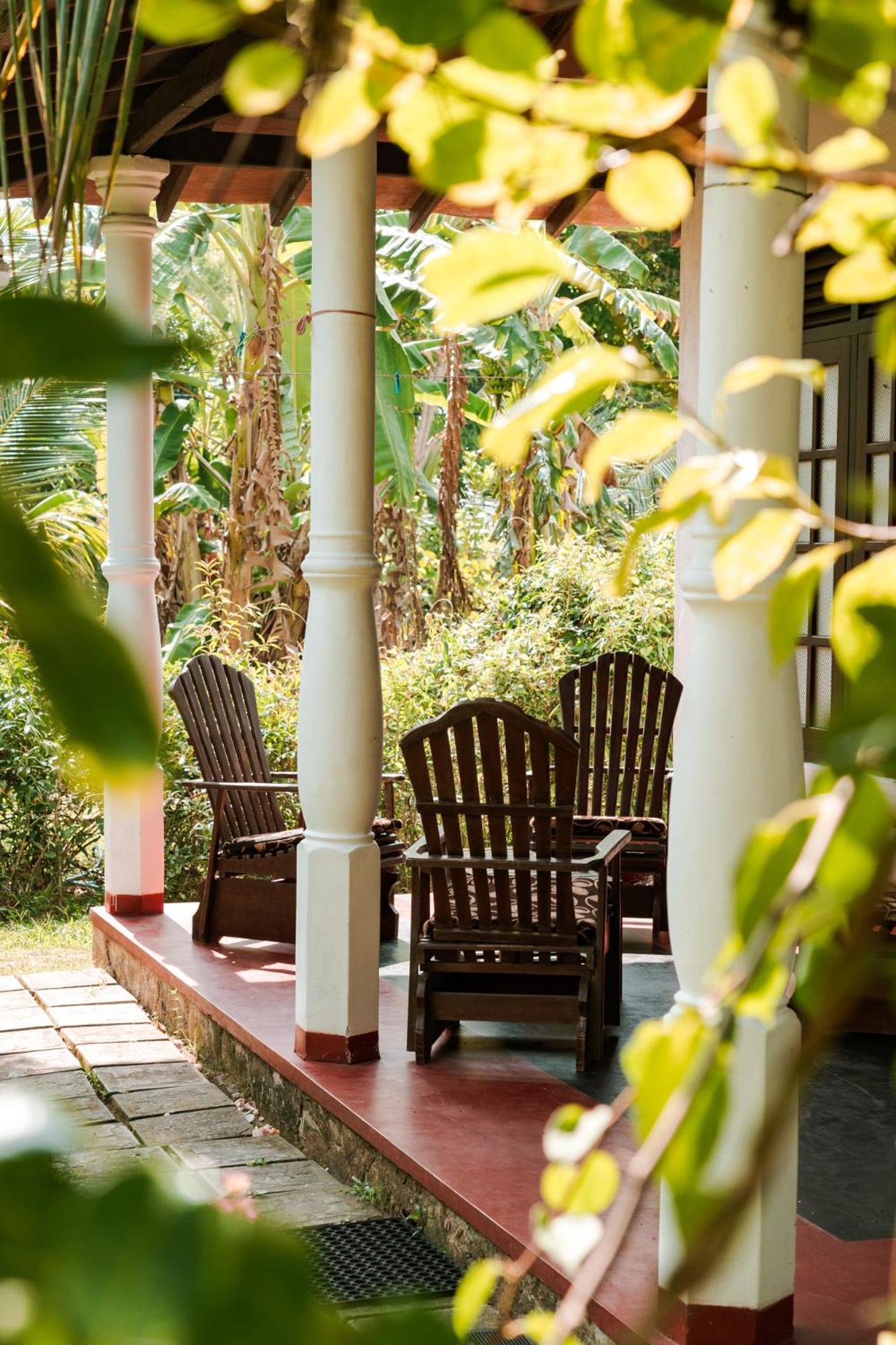 טנגלה Bay Hill Guest House מראה חיצוני תמונה